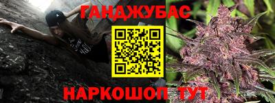 альфа пвп Заводоуковск